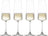 Schott Zwiesel Champagnerflöten MioVino - 260 ml - 4 Stück