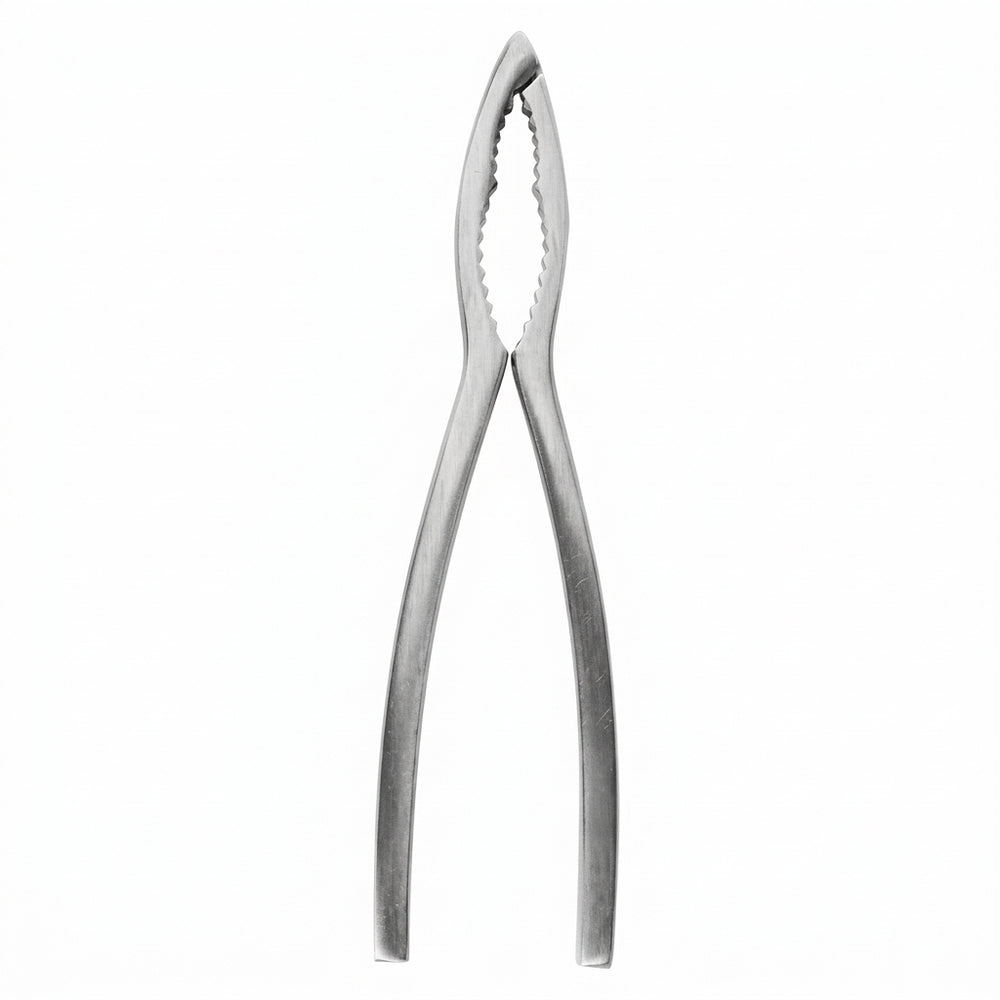 Crafts La Marée Kreeftentang RVS - 15.7 cm