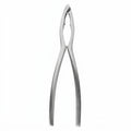 Crafts La Marée Kreeftentang RVS - 15.7 cm