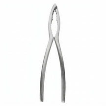 Crafts La Marée Kreeftentang RVS - 15.7 cm