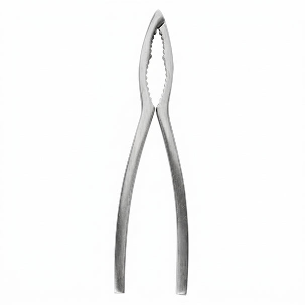 Crafts La Marée Hummerzange Edelstahl - 15,7 cm